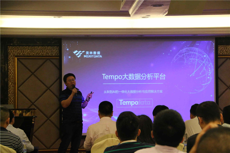 美林数据Tempo AI