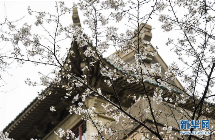 “疫”考后半场，“新基建”成为新焦点