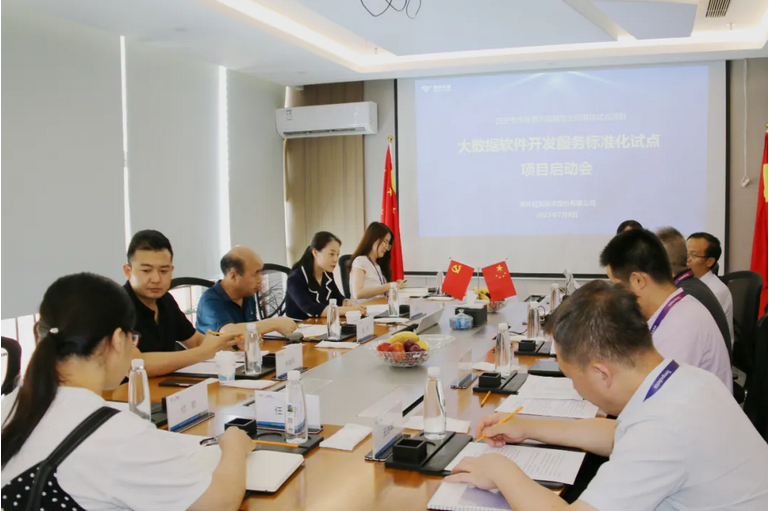 以大数据软件开发服务标准化助推数字产业持续创新