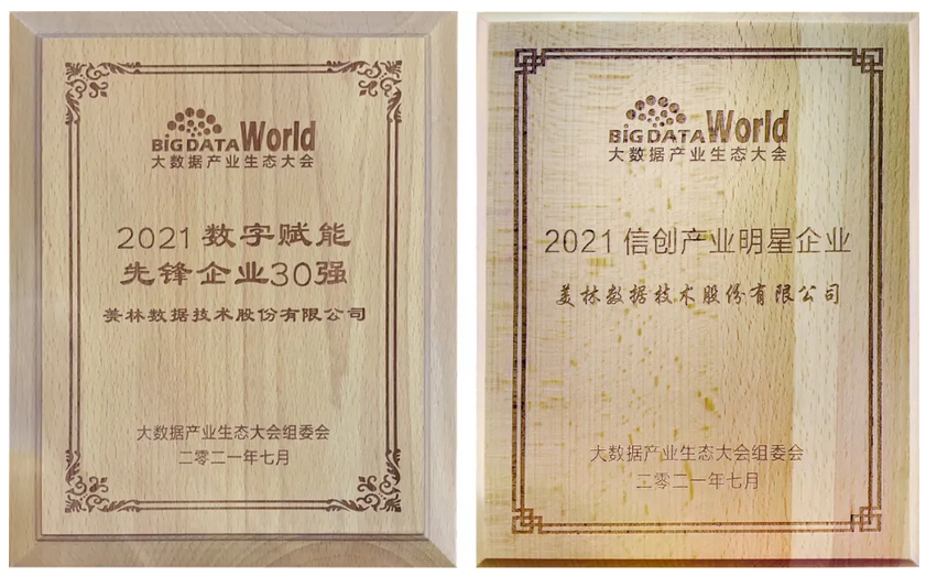 美林数据2021数字赋能先锋企业30强、2021信创产业明星企业奖牌